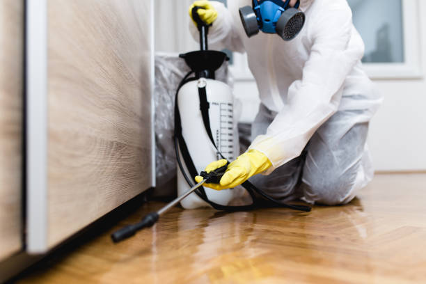 Best Exterminator Services  in Vero Beach South, FL