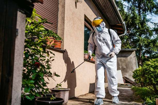 Professional Pest Control in Vero Beach South, FL