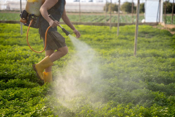 Best Residential Pest Control  in Vero Beach South, FL