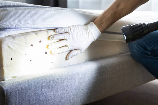 Best Affordable Pest Control Services  in Vero Beach South, FL