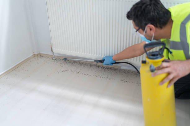Best Bed Bug Extermination  in Vero Beach South, FL